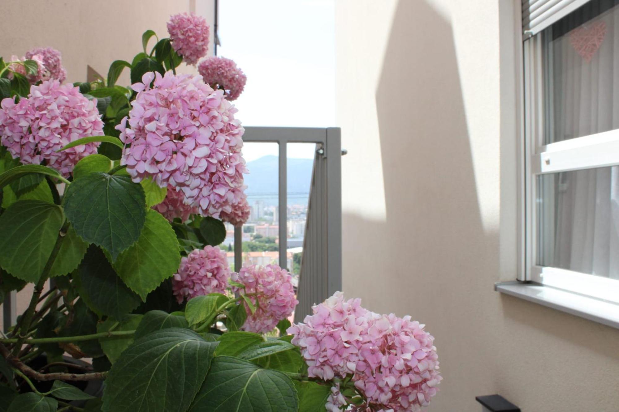 Apartment Merry - Free Garage & Parking Μόσταρ Εξωτερικό φωτογραφία
