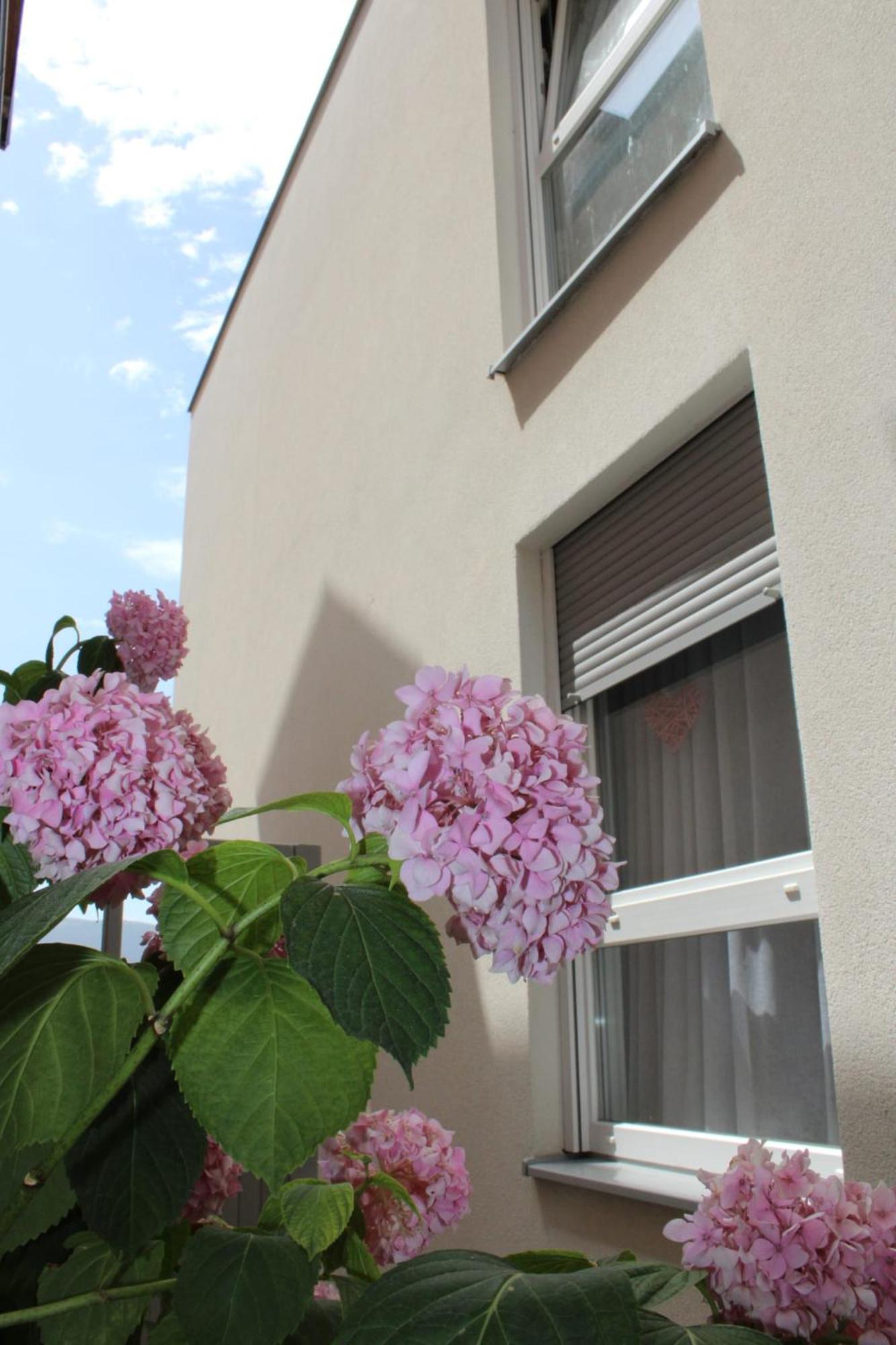 Apartment Merry - Free Garage & Parking Μόσταρ Εξωτερικό φωτογραφία